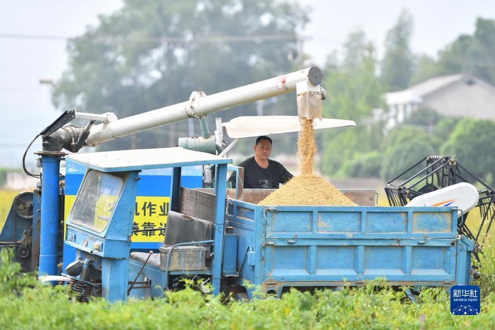 乐玩游戏下载